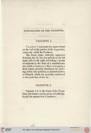 Description of the Vignettes