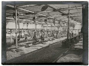 Nicht identifizierbare Ortschaft (Belgien/Nordfrankreich): große Halle mit Bettgestellen