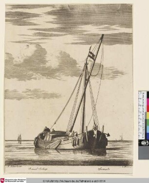 Smal-Ship; Semale
