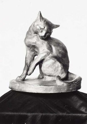 Schuldbewußte Katze. Bronze; 56 x 42 cm (vor 1945; E. Richter). Dresden-Südvorstadt, Eisenstuckstraße, Atelier der Künstlerin