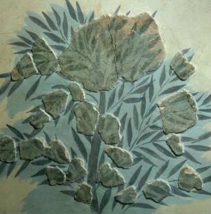 Olivenbaum (Fragment)