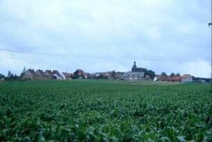 Blick über Felder zum Ort