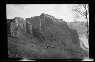 Bouillon (Belgien): Schloss-Komplex in der Länge, im Vordergrund Ziegen auf einer Weide, rechts der Fluss [Semois] (Distanzaufnahme)