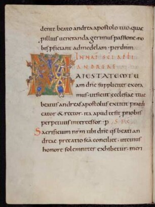 Zierinitiale / Randleisteninitiale mit Rankenbesatz: M(aiestatem tuam domine)