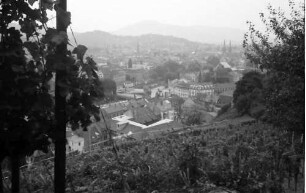 Freiburg: Stiftungsverwaltung; vom Schlossberg durch Reben, auf Stadtteil Wiehre