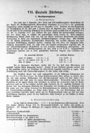 VII. Soziale Fürsorge