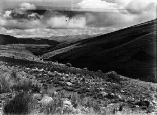 Punalandschaft : Gebirgslandschaft in der Cordillera de Khuri. Im Vordergrund einige Büsche. In der Mitte sind Ruinen, im Hintergrund Gebirgszüge.