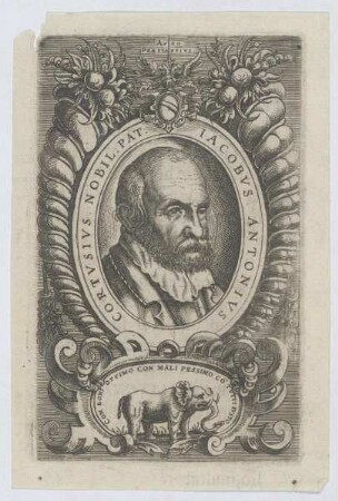 Bildnis des Iacobus Antonius Cortusius