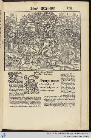 Georgica, Liber II