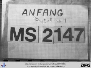 MF Mau 2147