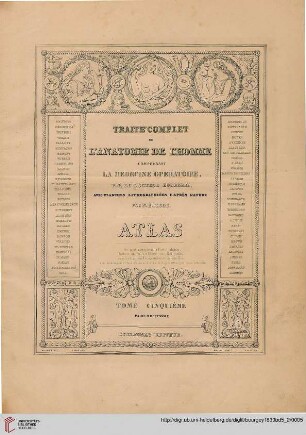 Band 5, Athlas: Traité complet de l'anatomie de l'homme: comprenant la médicine opératoire: Atlas