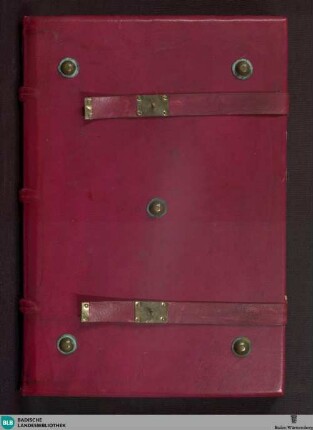 Epistolarium - Cod. Aug. perg. 54