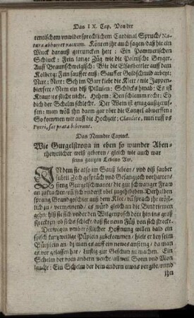 Das Neundte Capitel.
