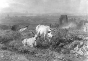 Ausschnitt: Weidende Rinder und Ruinen