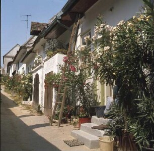 Österreich. Mörbisch am See. Blick in eine Hofgasse