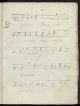 Barbara flava comis niveis