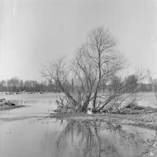 Spreewald um 1940. Überflutete Wiesen und Felder. : Błóta wokoło 1940. Přepławjene łuki a pola.