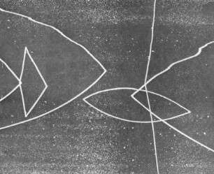 Binsen grafisch abstrakt