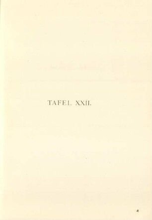 Tafel XXII.