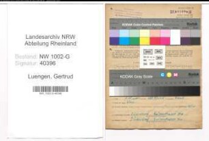 Entnazifizierung Gertrud Luengen, geb. 21.08.1888 (Gastwirt)