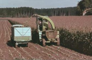 Fotografie: Erntetechnik, Feldhäcksler gezogen, Maisgebiss, Silomais, Parallelverfahren