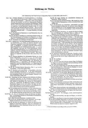 Erklärung der Tafeln