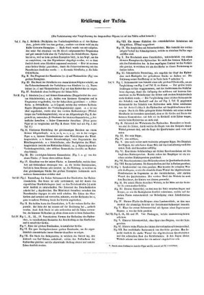 Erklärung der Tafeln