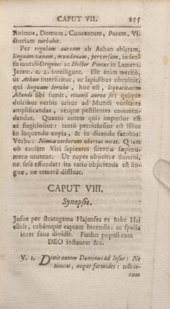Caput VIII. Synopsis.