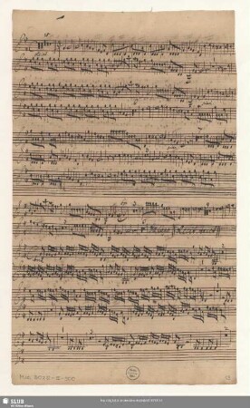 [Violino Solo]