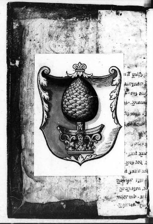 Lombarda - BSB Clm 3510