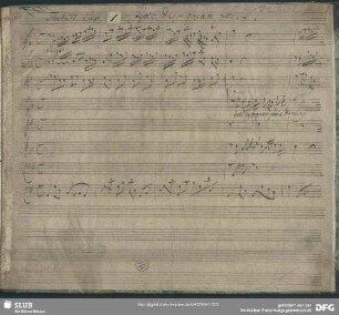 Haec dies quam fecit Dominus