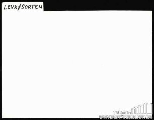 LEVKOJEN: Sorten
