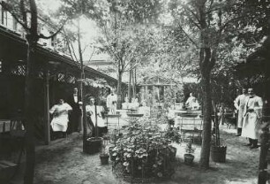 Leipzig, Biergarten : Leipzig, typische Hinterhof-Gartengaststätte