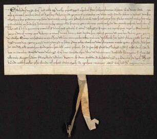 Bischof Eberhard von Konstanz bestätigt einen Tauschvertrag, kraft dessen der Pleban Konrad von Nellingen den 1. März 1246 dem Kloster Weiler (Weil) gewisse Güter und Zehnten in Weiler usw. gegen genannte Besitzungen und Bezüge eingeräumt hatte.
