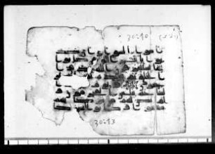 al- Qurʾān [DAM 8-12.2]