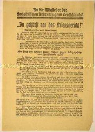 Programmatischer Solidarisierungsaufruf der Kommunistischen Jugend Deutschlands an die Mitglieder der Sozialistischen Arbeiterjugend