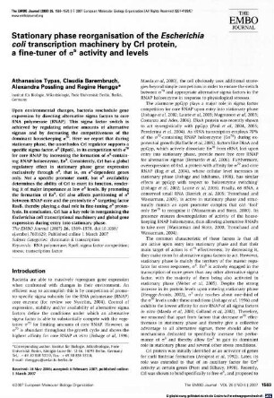 Stationary phase reorganisation of the Escherichia coli transcription machinery by Crl protein, a fine-tuner of sS activity and levels