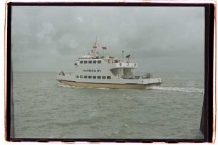 Amrum (1968), WDR, Wyk