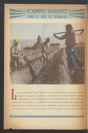 ¡Campo barato para el que lo trabaja!