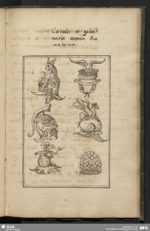 Cassides et galeae uariae ueterum Romanorum.