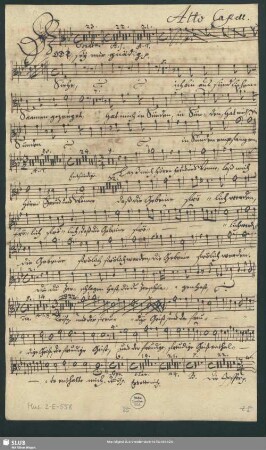 Alto Capell[a].