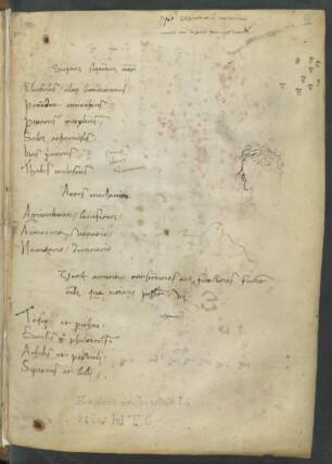 Palimpseste (karolingisch?, Inhalt nicht bestimmbar)