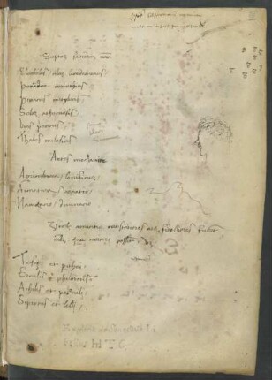 Palimpseste (karolingisch?, Inhalt nicht bestimmbar)
