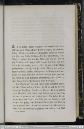 [Andreas Schlüter]
