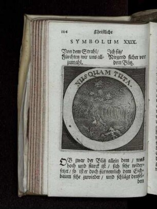Symbolum XXIX.