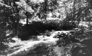 Löbau-Bellwitz. Löbauer Wasser im Skalatal