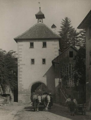 Überlingen am Bodensee. Das Aufkircher Tor. Stadttor im Norden der Altstadt. Ein Ochsengespann passiert das Tor