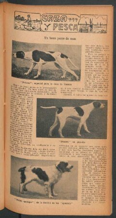 Un buen perro de caza : Caza y pesca