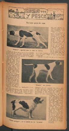 Un buen perro de caza : Caza y pesca