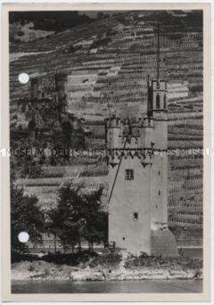 Bingen am Rhein, Mäuseturm, Burgruine Ehrenfels
